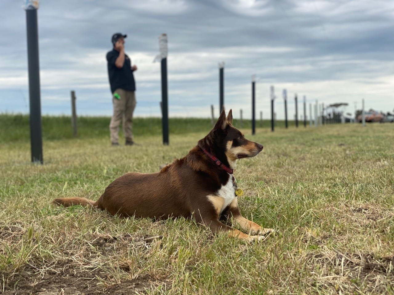 Farmbuild - Contact Us at Farmbuild